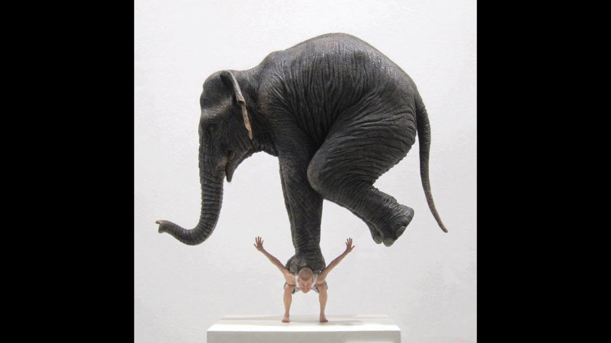 Слоненок и человек