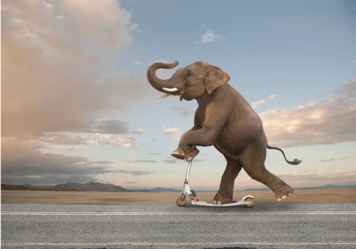 Смешной слон