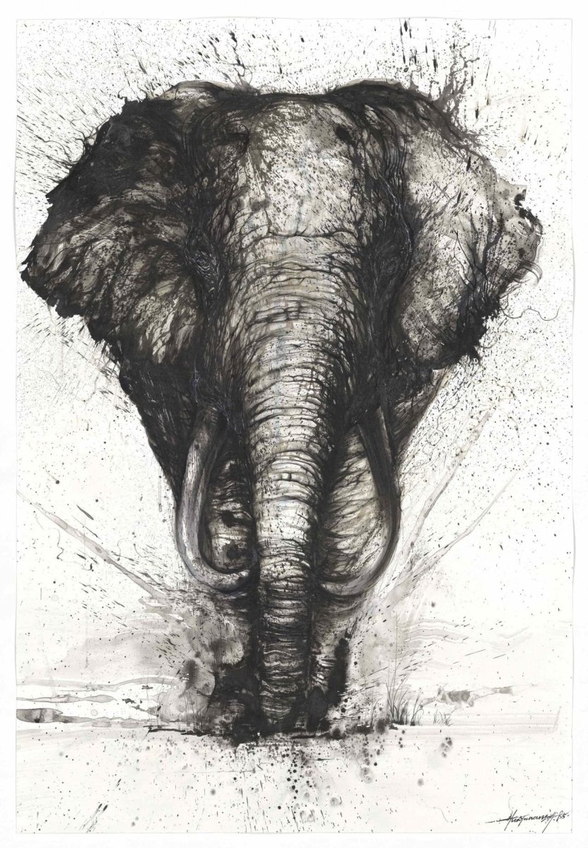 Слоны Графика