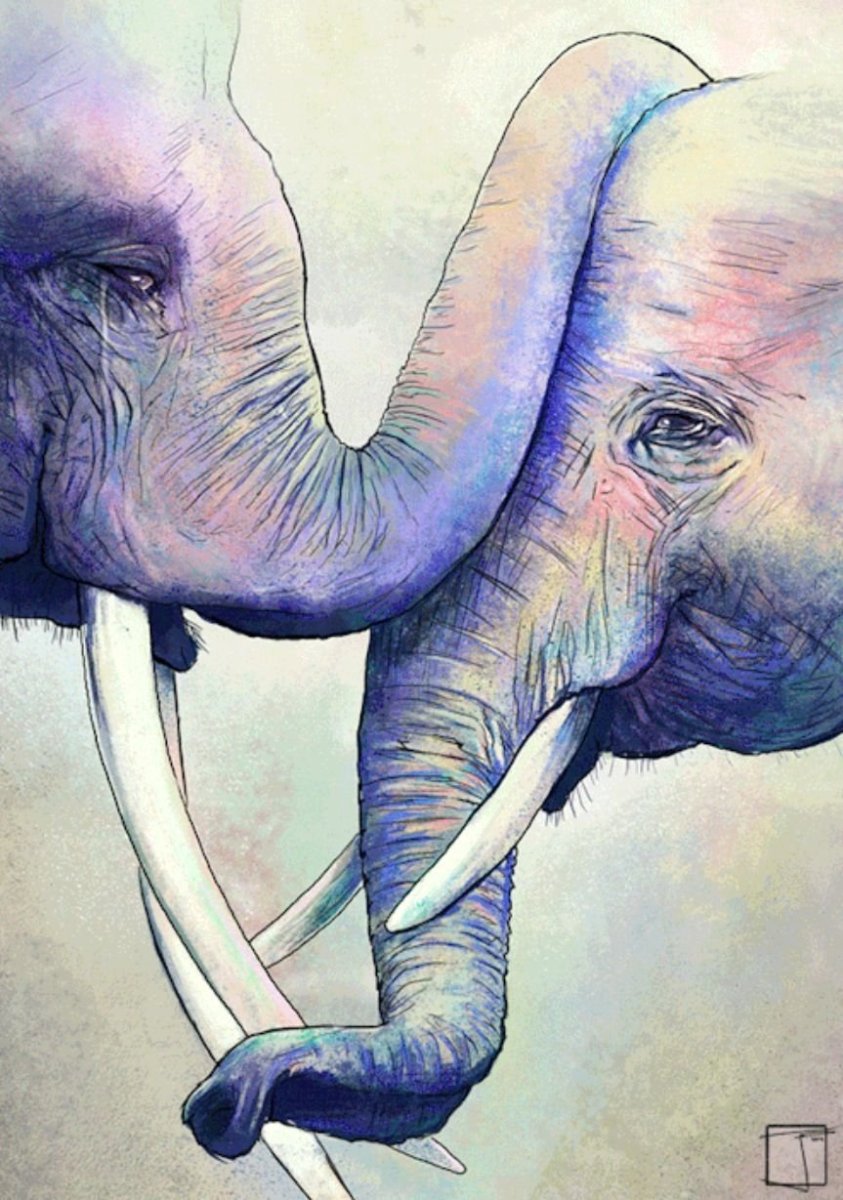 Картина слон