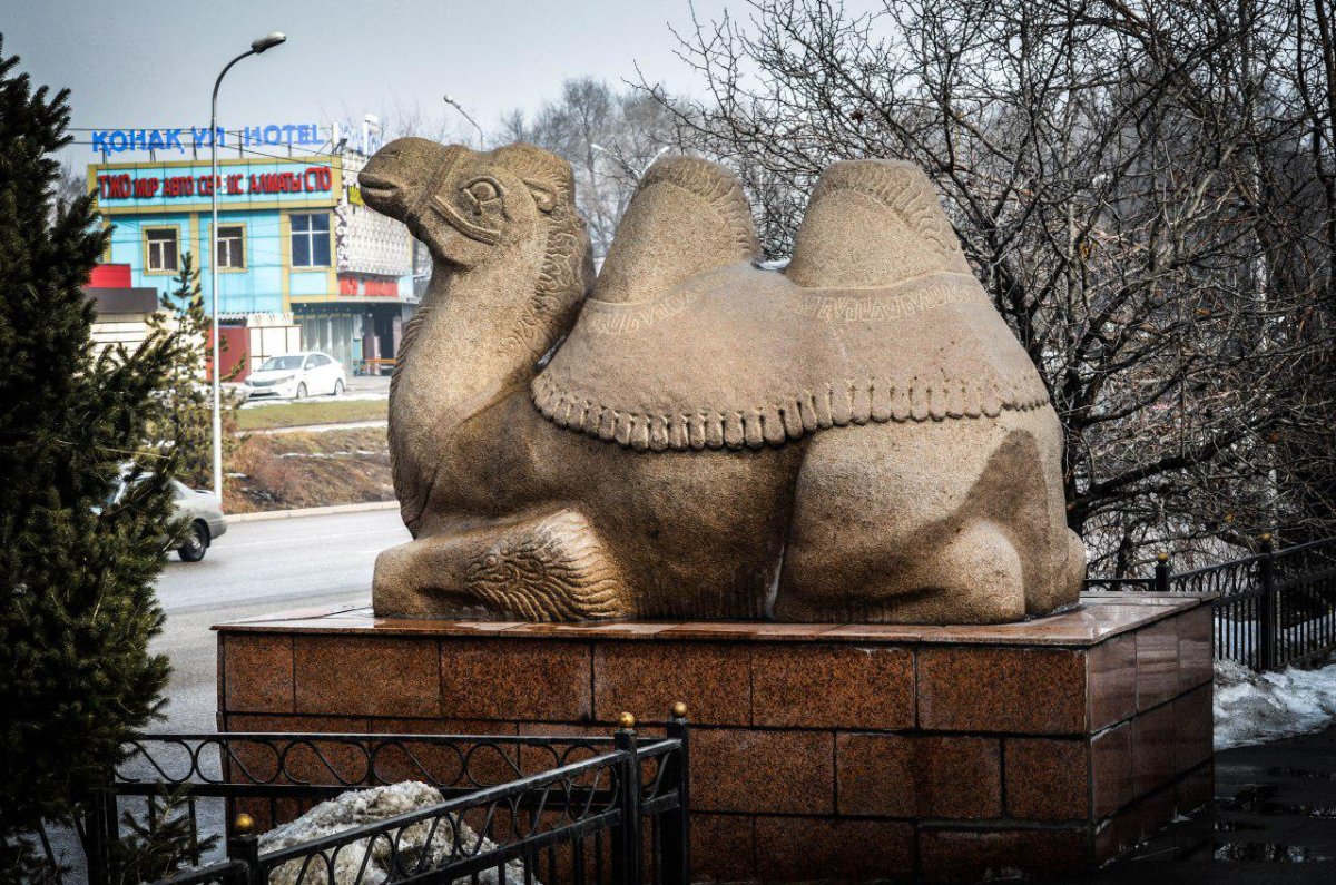 Памятник верблюду в Волгограде