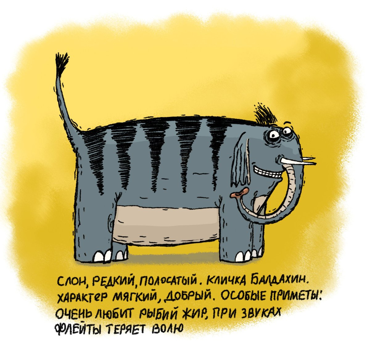 Слон редкий полосатый кличка балдахин