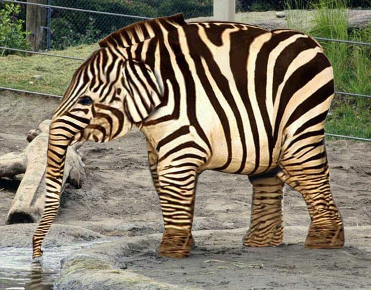 Трансгенные животные