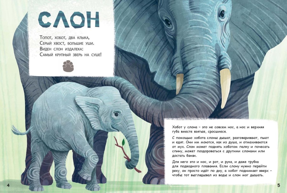 Всемирный день слонов 12 августа