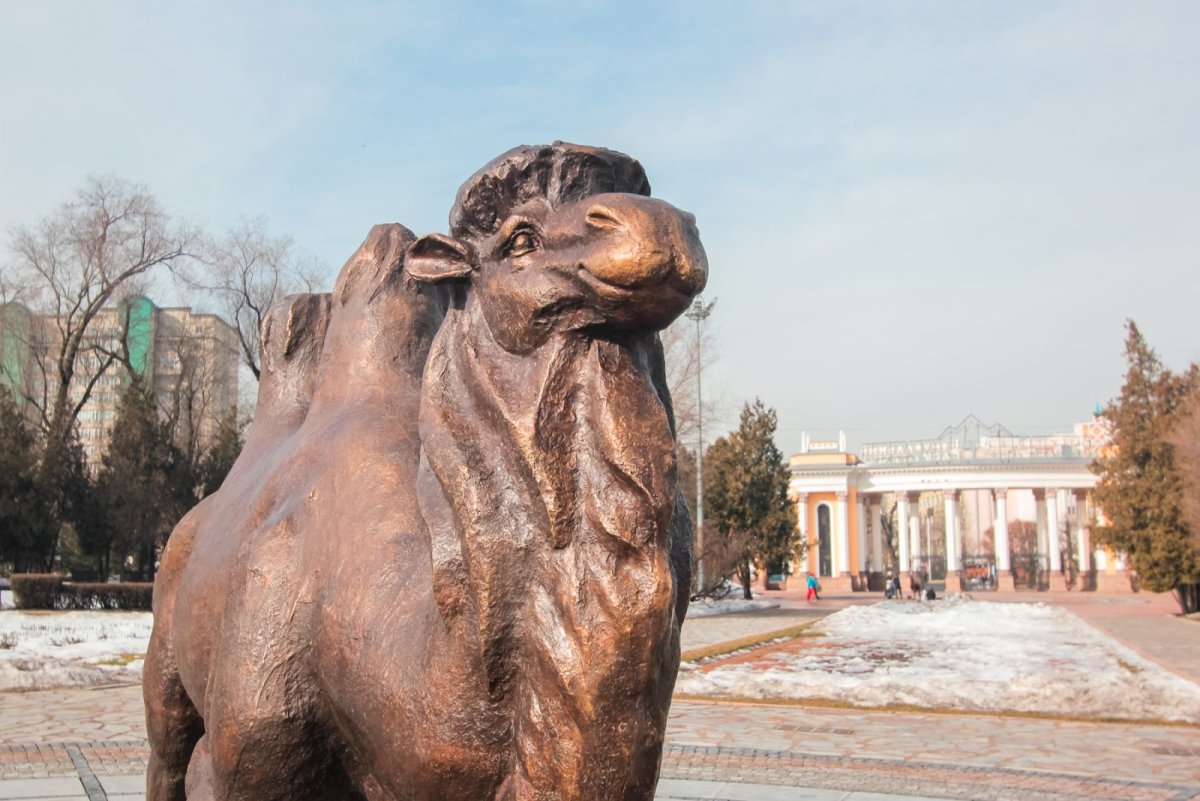 Статуя верблюда в Челябинске