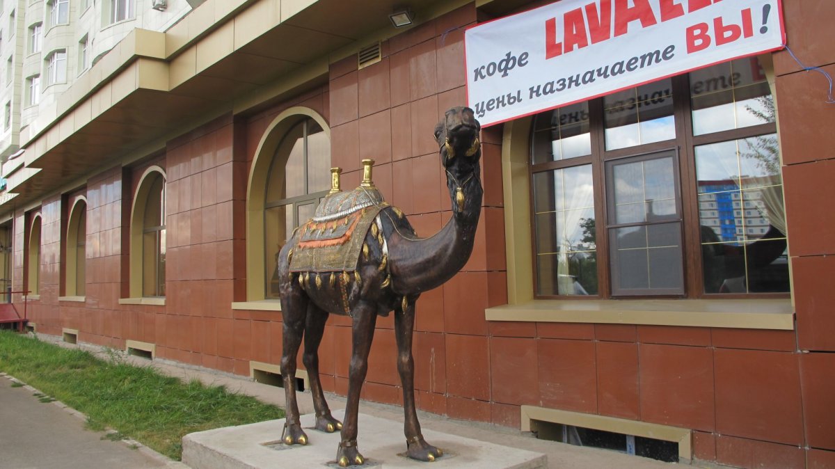 Кафе с верблюдами в Краснодаре