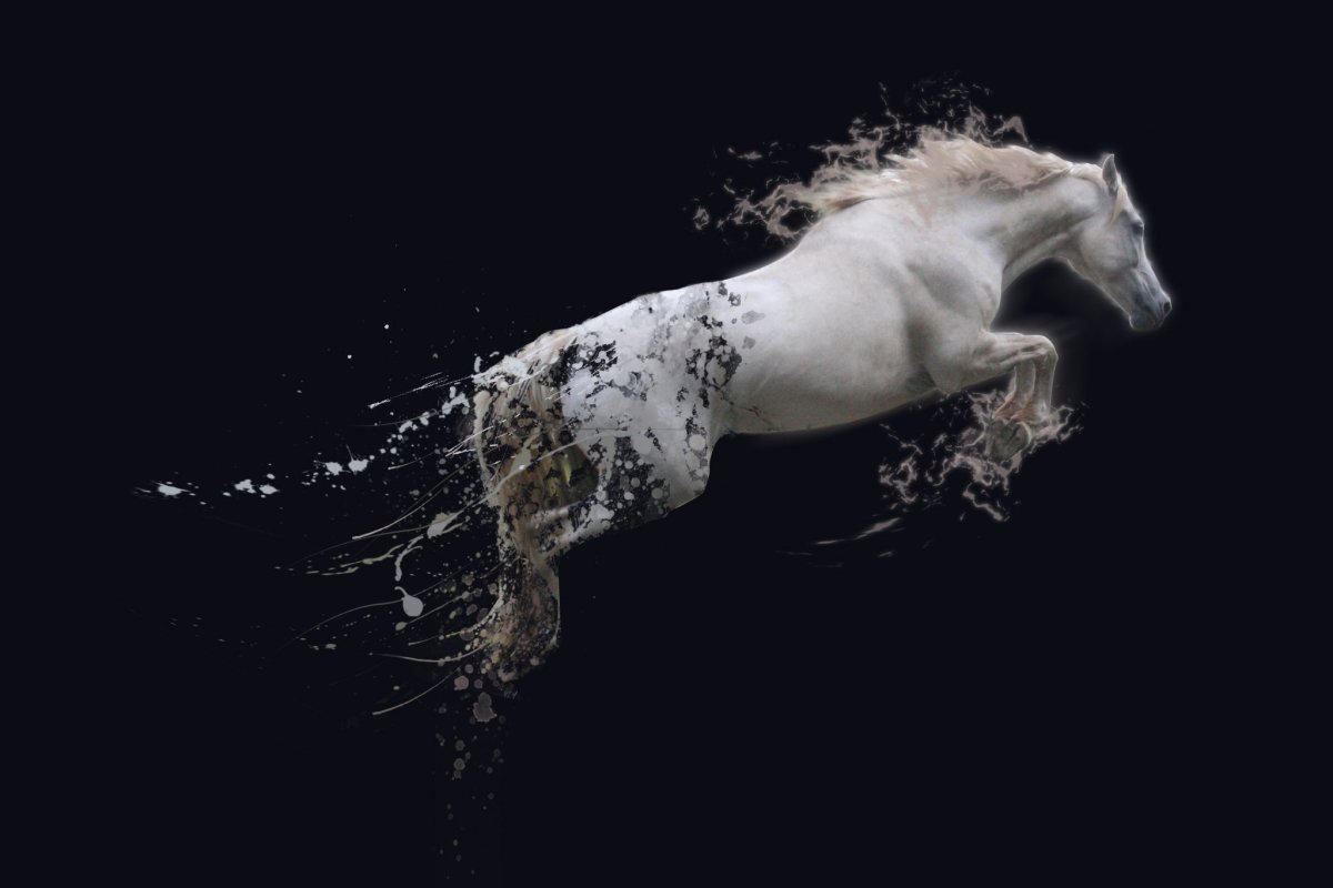 Лошадь на темном фоне