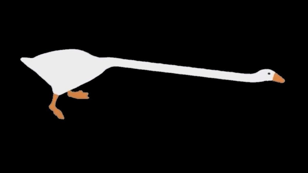 Гусь на черном фоне