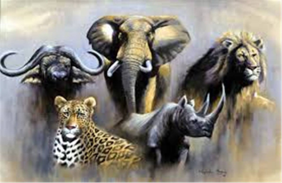 Животные сафари