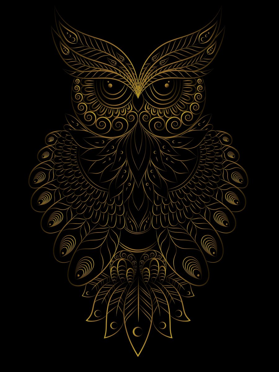 Сова абстракция