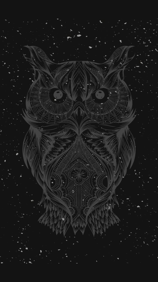 Сова на черном фоне