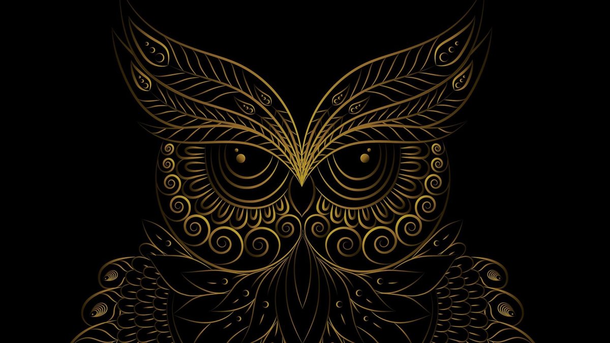 Сова фон для рабочего стола