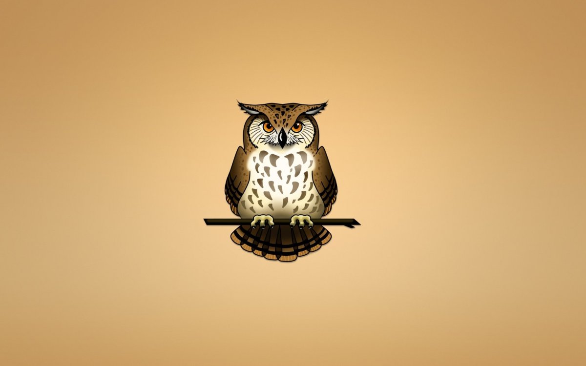 Сова Минимализм