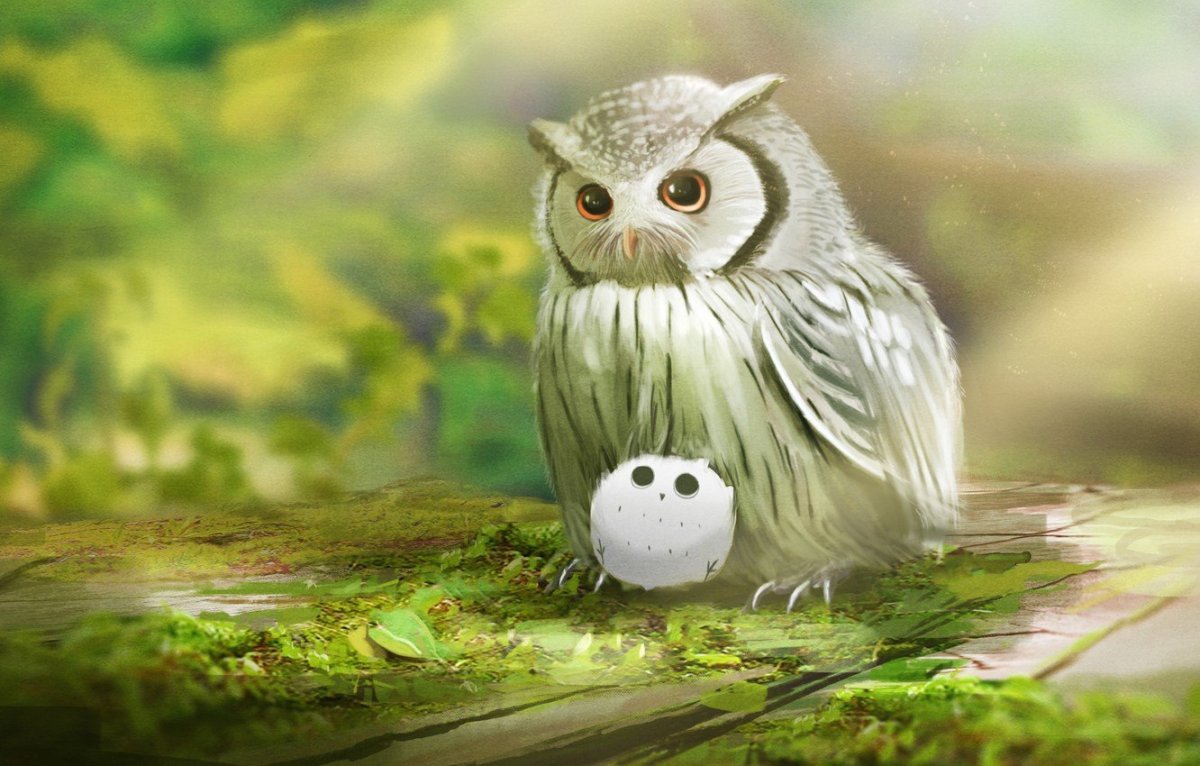 Картинки на рабочий стол Сова