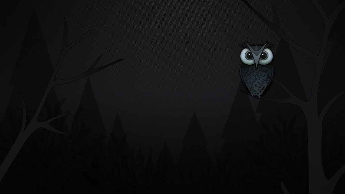 Сова на черном фоне