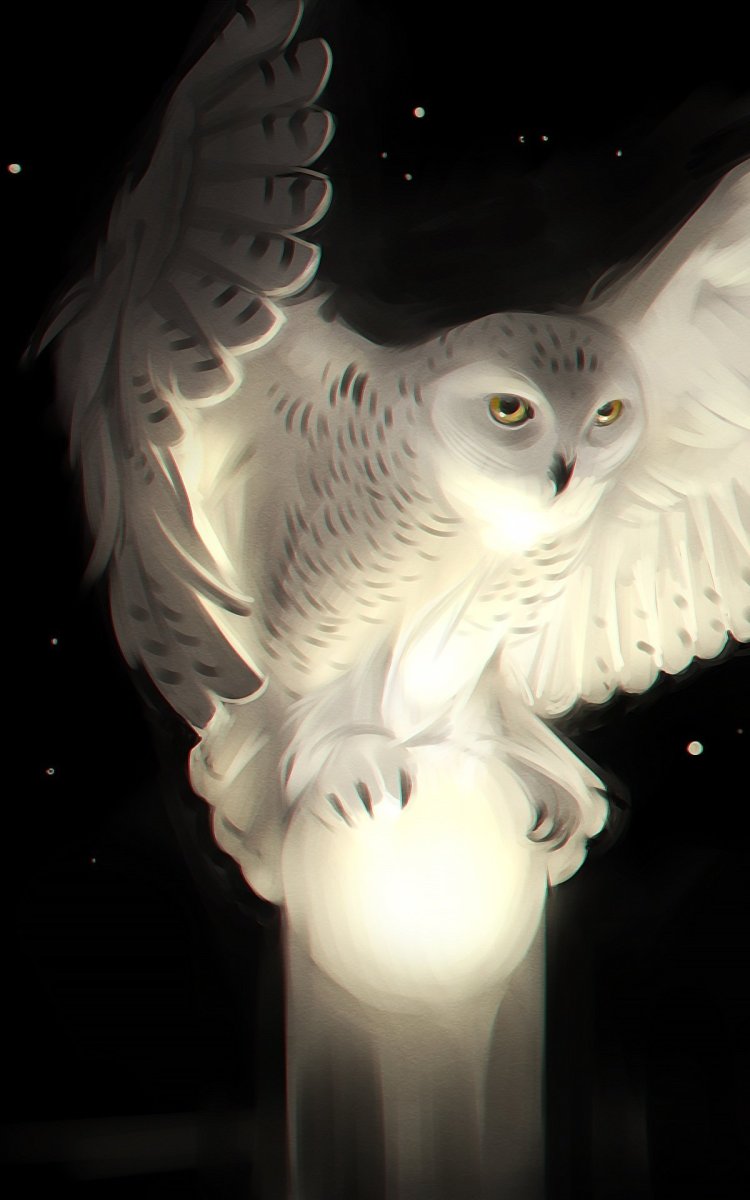 Сова Полярная белая