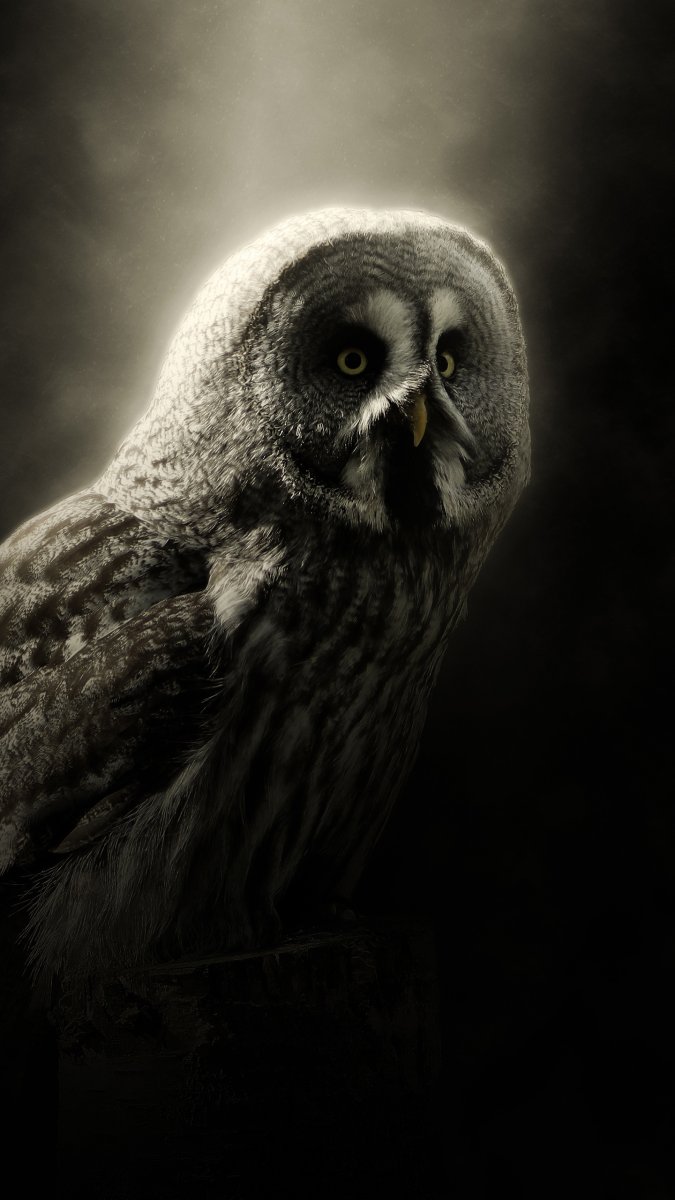 Мрачная Сова