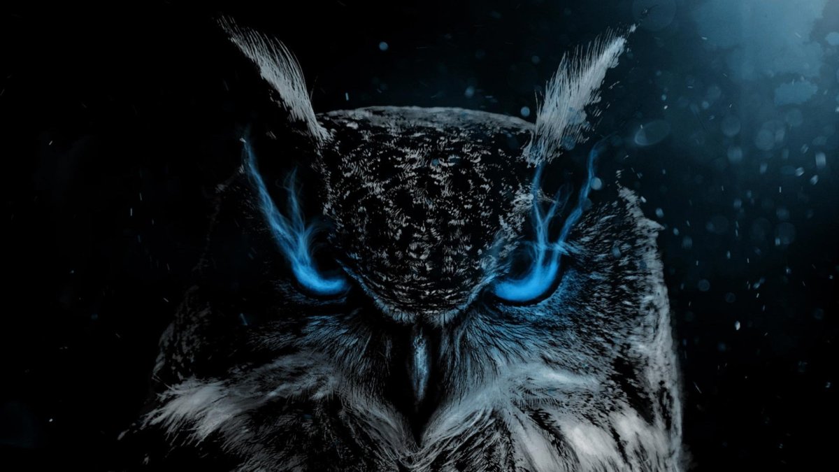 Обои на телефон филин