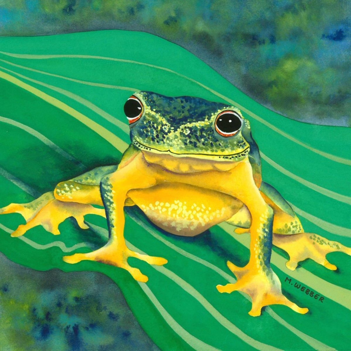 Bullfrog лягушка