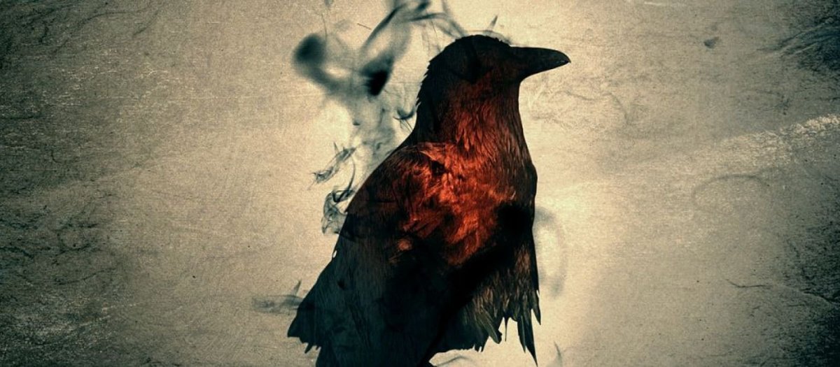 Вороны обои