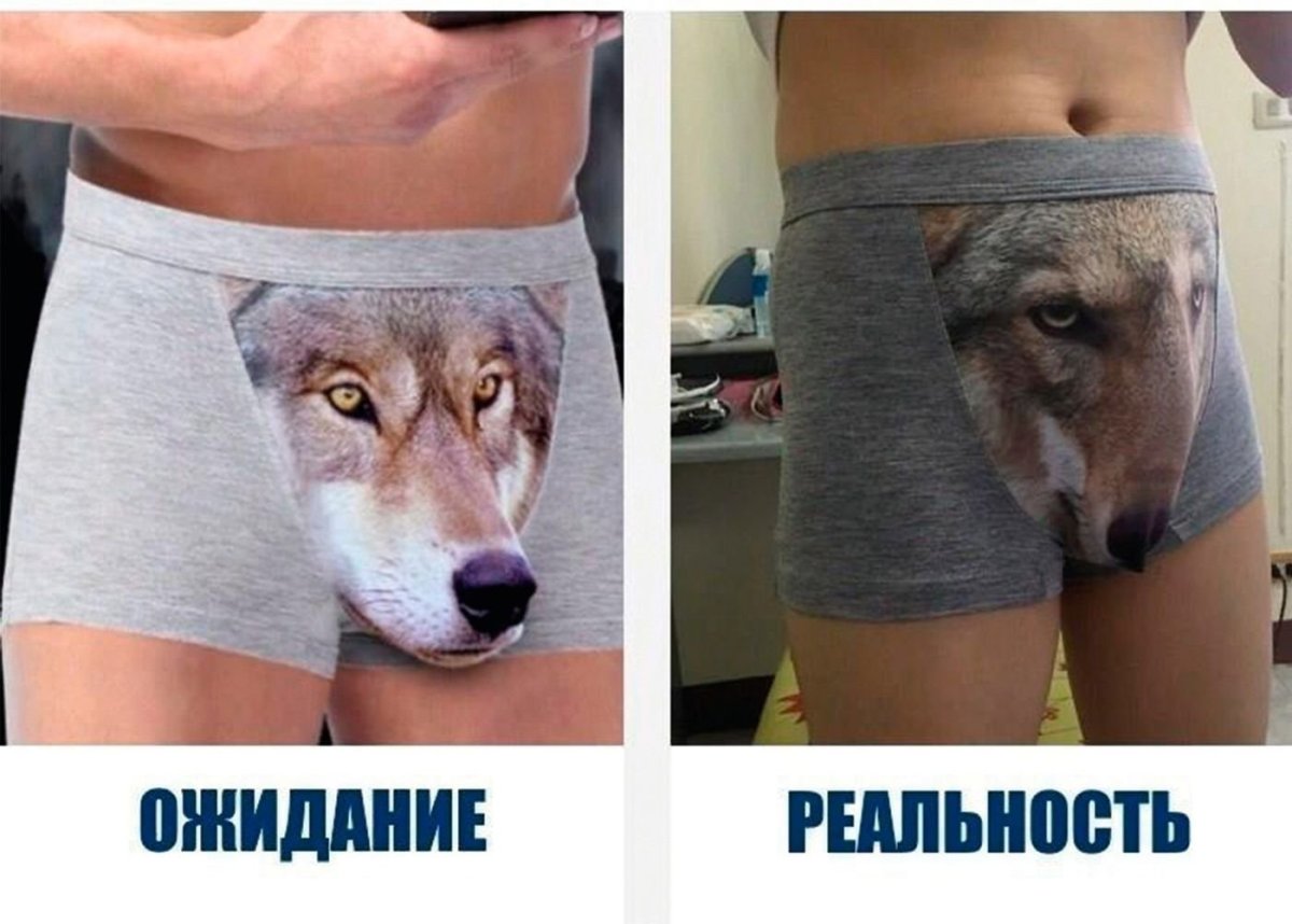 Трусы с мордой волка