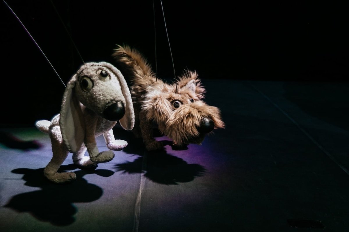 "Бобик в гостях у Барбоса" кто Бобик а кто Барбос