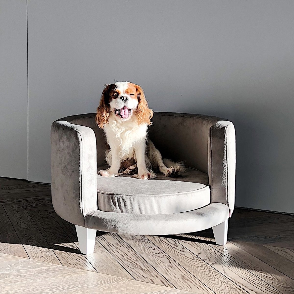 Столик Бобик