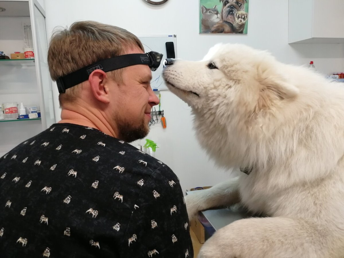 Петров Андрей Дмитриевич ветеринар