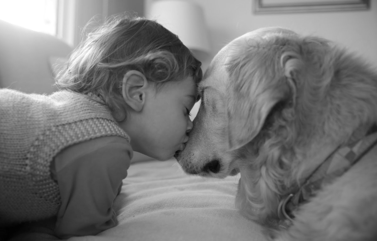 Кто будет любить тебя собака