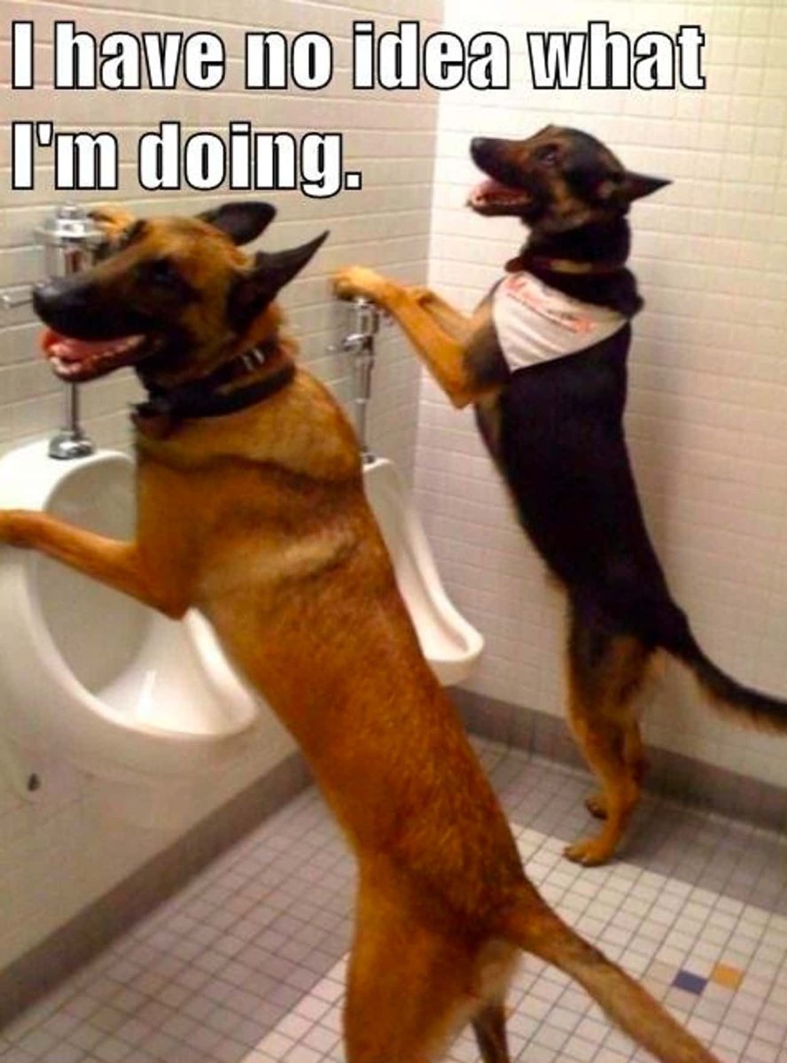 Туалет для собак