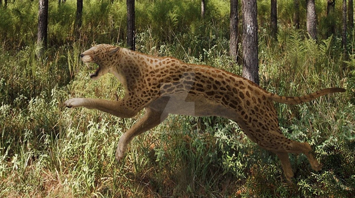 Proailurus lemanensis