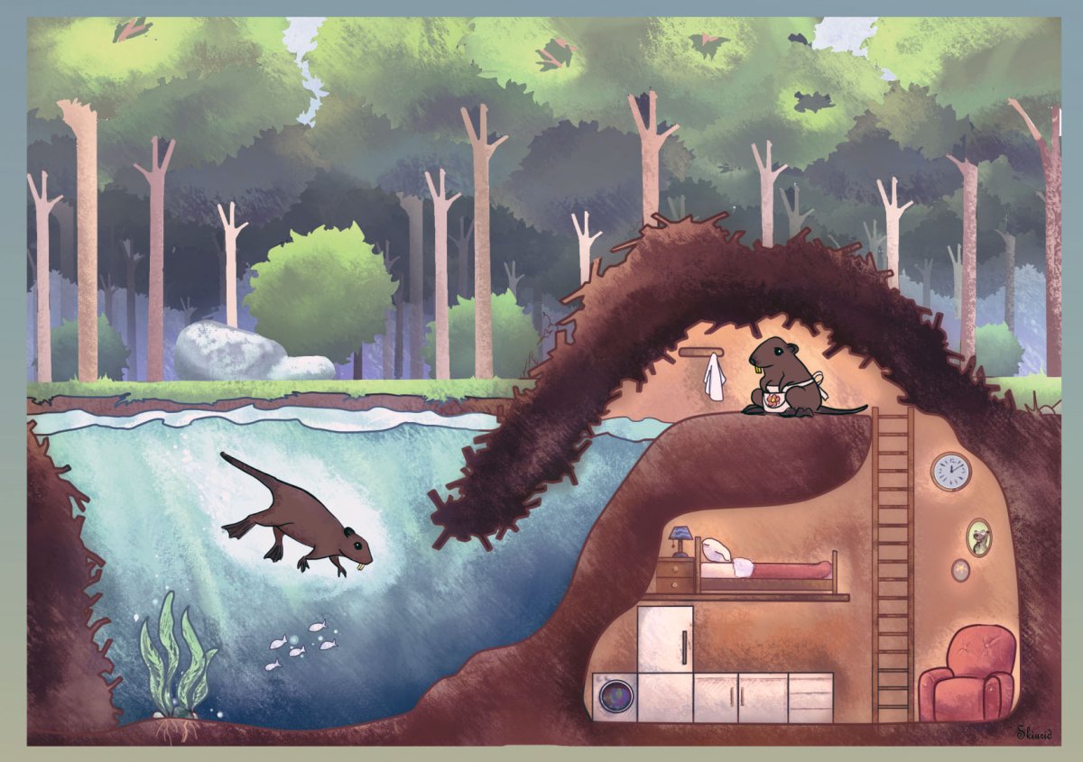 Домик хатке Бобров