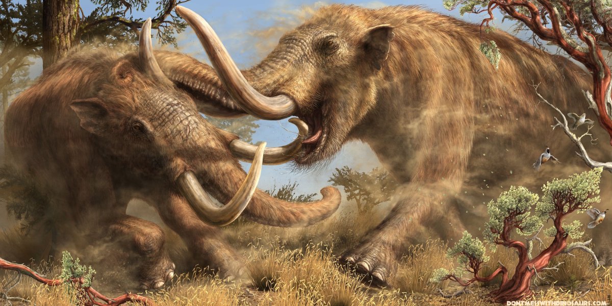 Мастодонт Кайнозой