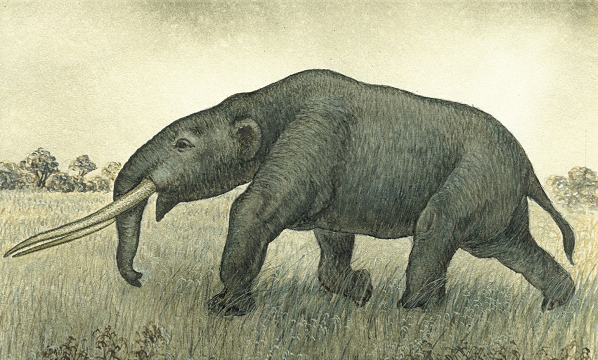 Овернский мастодонт