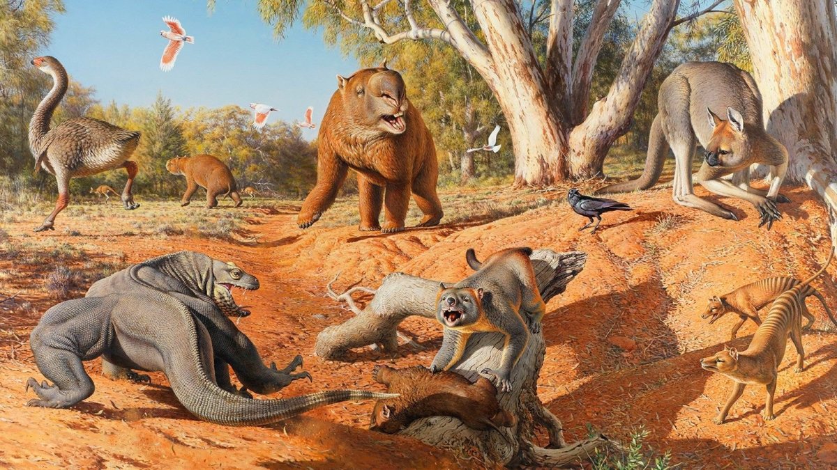 Новозеландия мегафауна