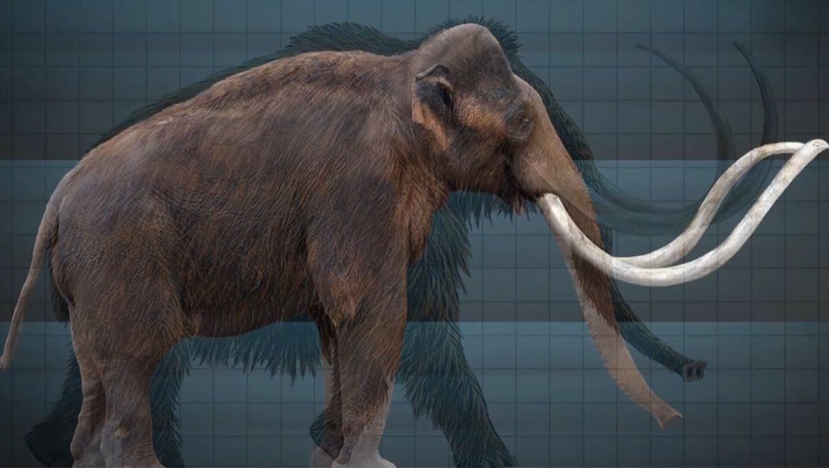 Мамонт мастодонт и слон