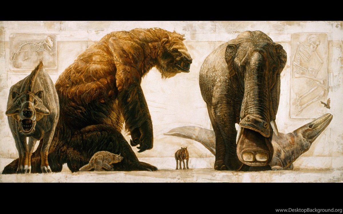 МЕГАТЕРИЙ прогулки с чудовищами