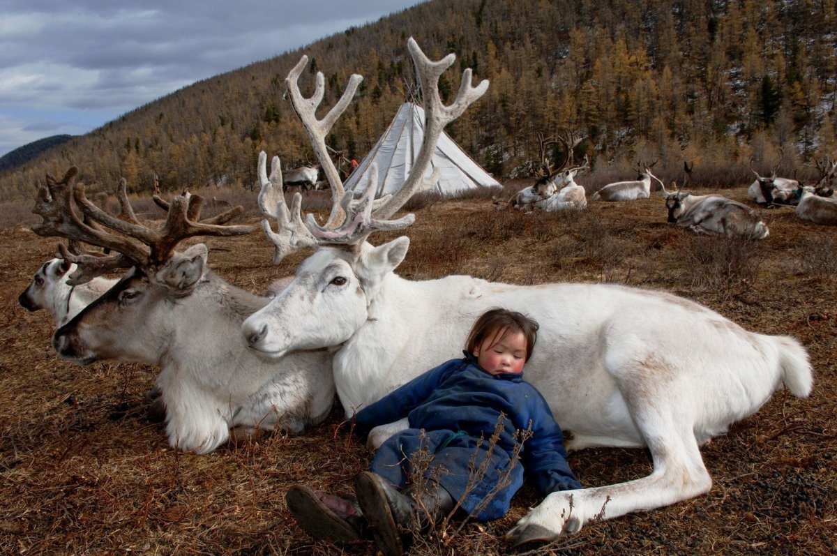 Цаатаны Монголии народ