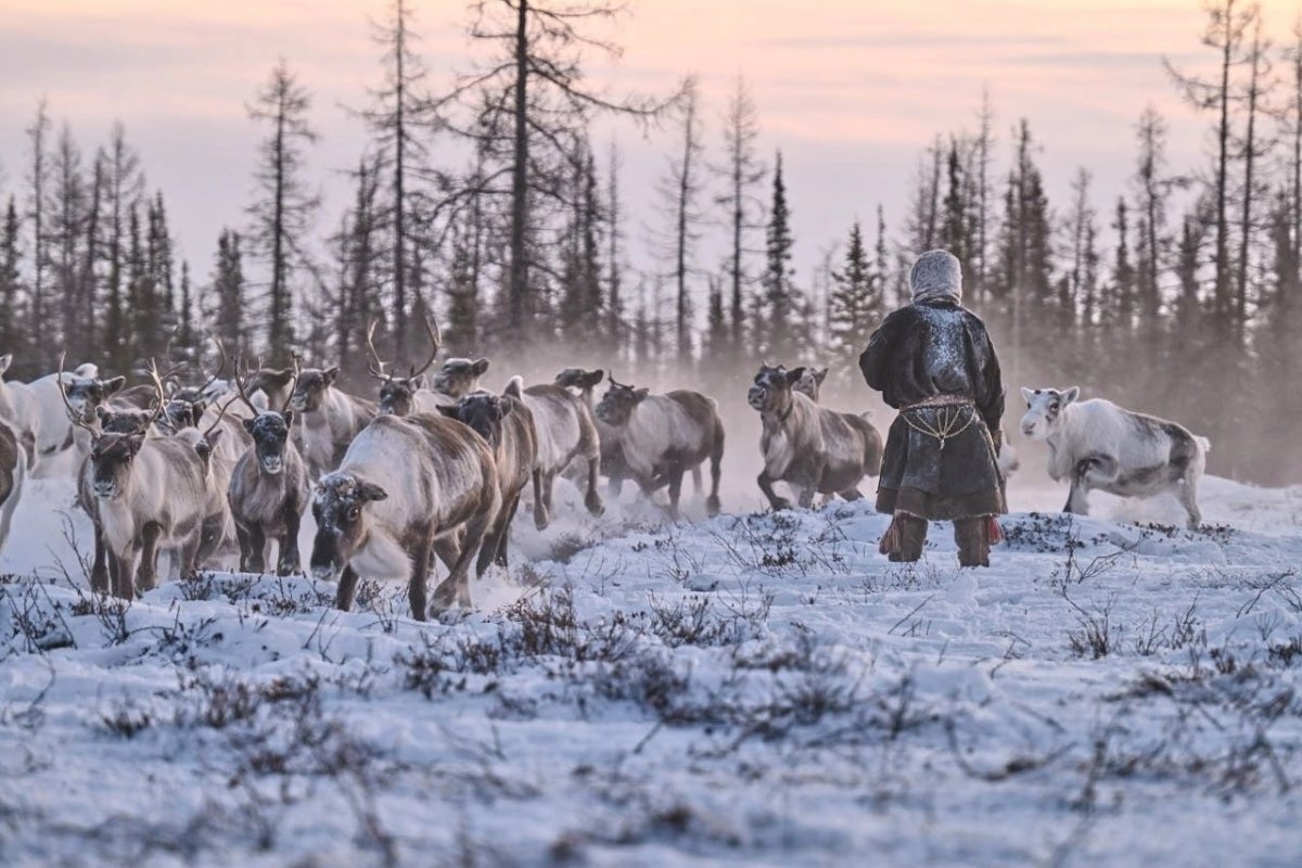 Ямал сейчас