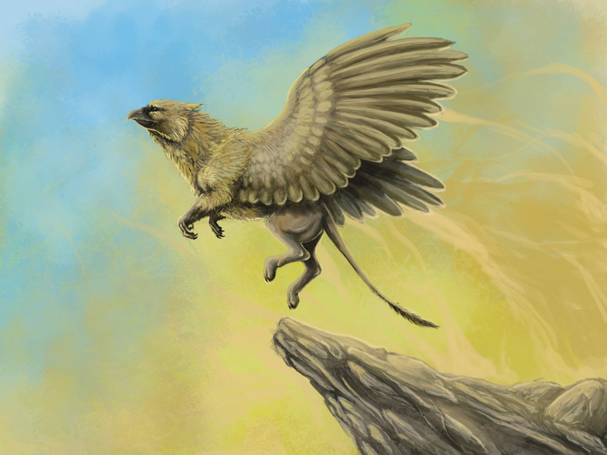 Гриффон птица