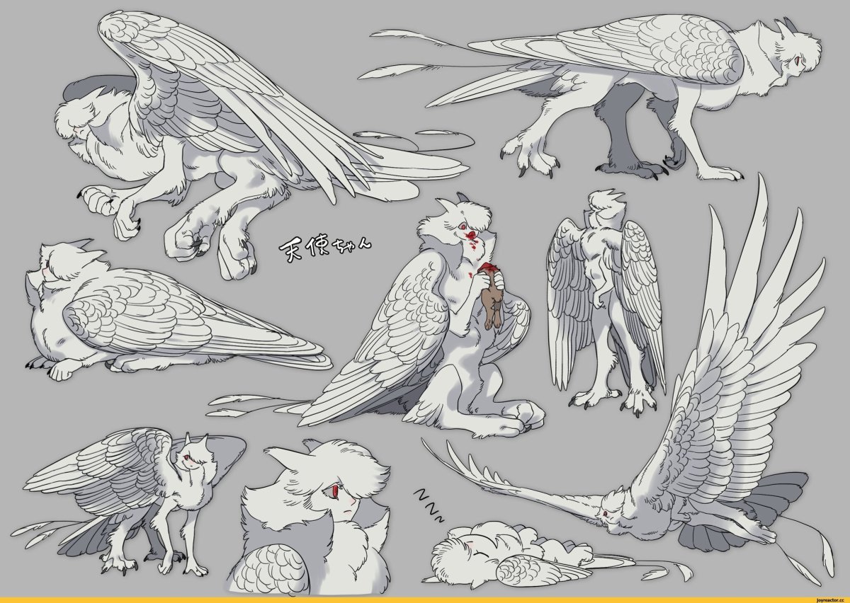 Гиппогриф ДНД