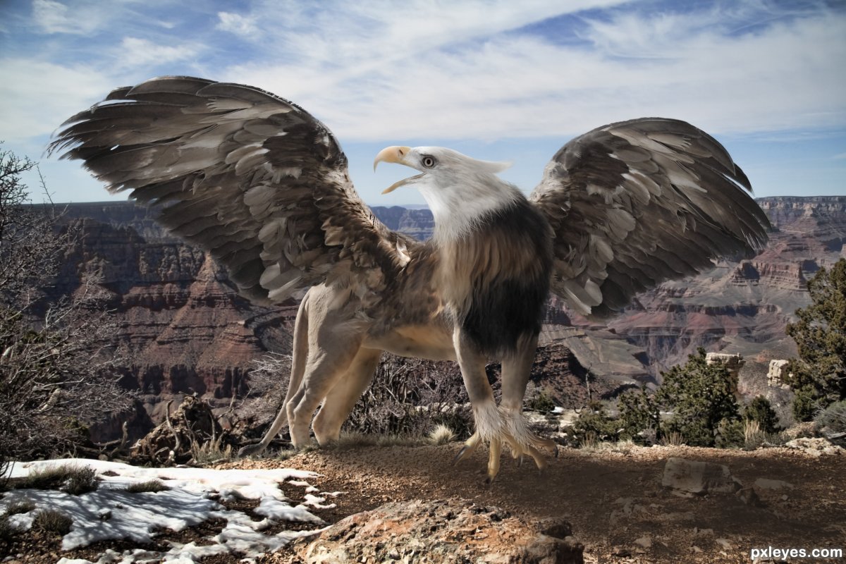 Грифон из хроники Нарнии