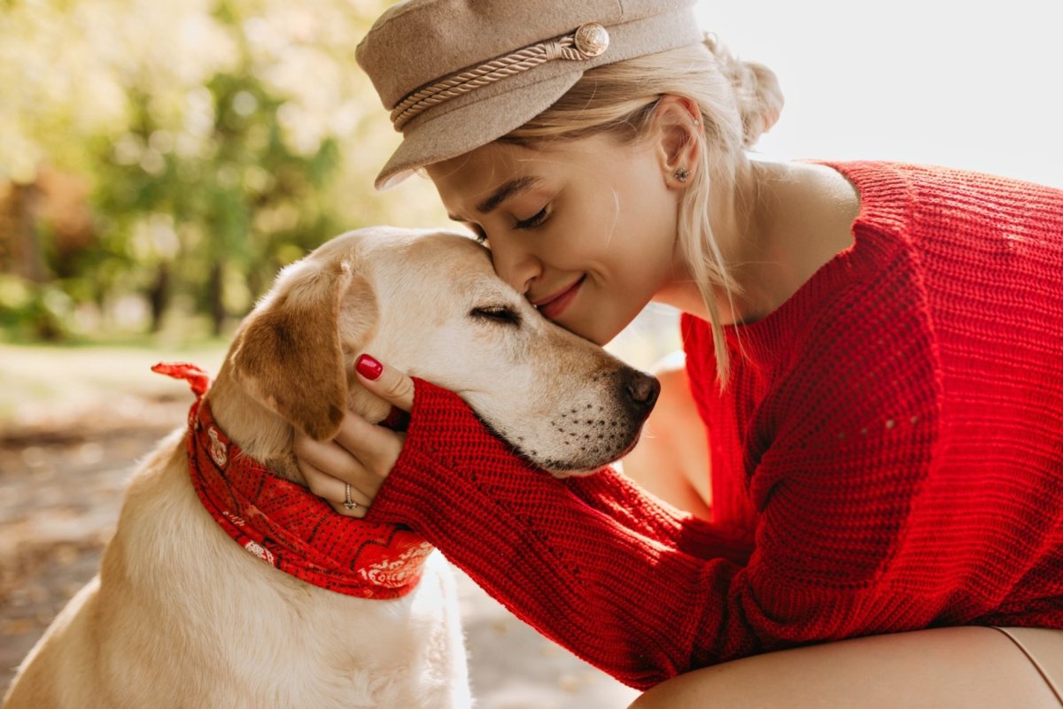 Самые лучшие породы собак для Кирилла