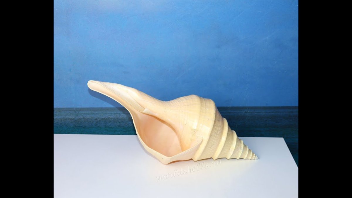 Харония Тритонис