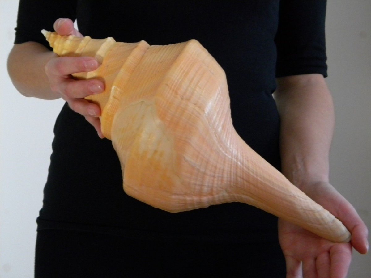 Гигантский Сиринкс