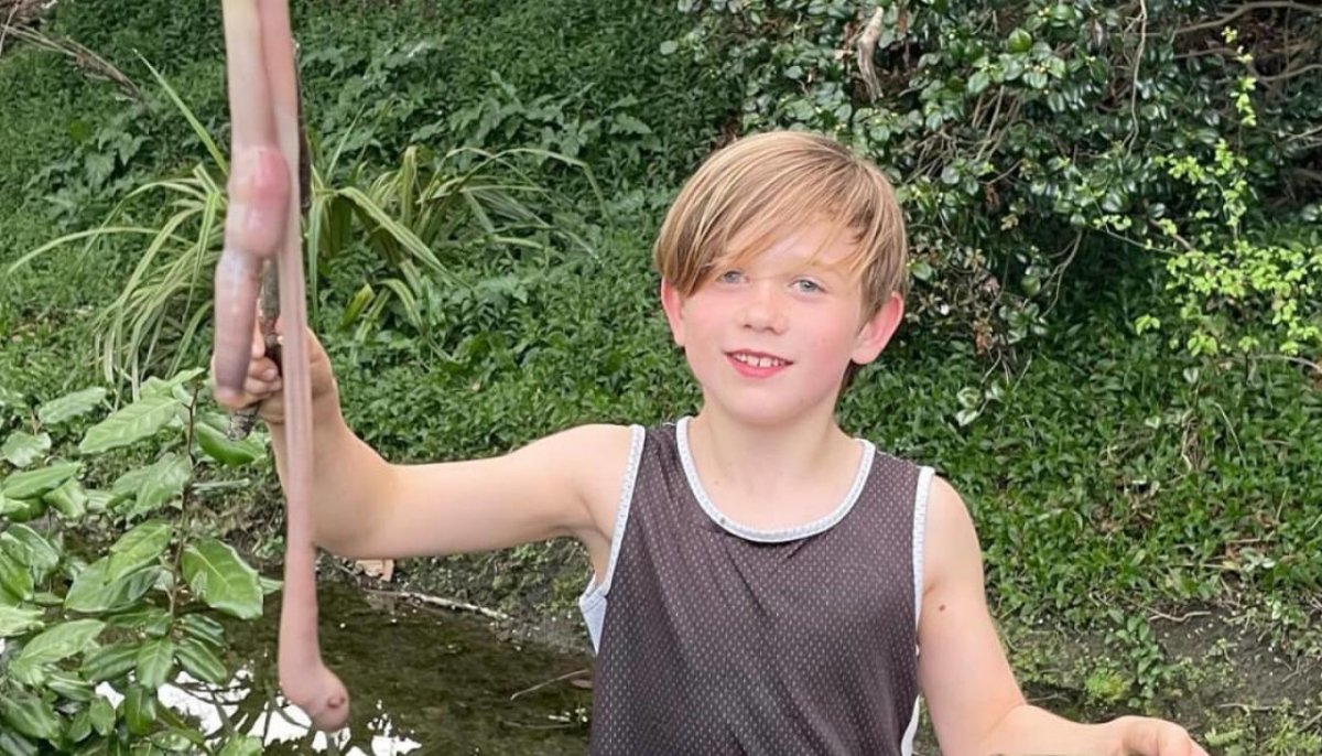 Австралийский гигантский дождевой червь