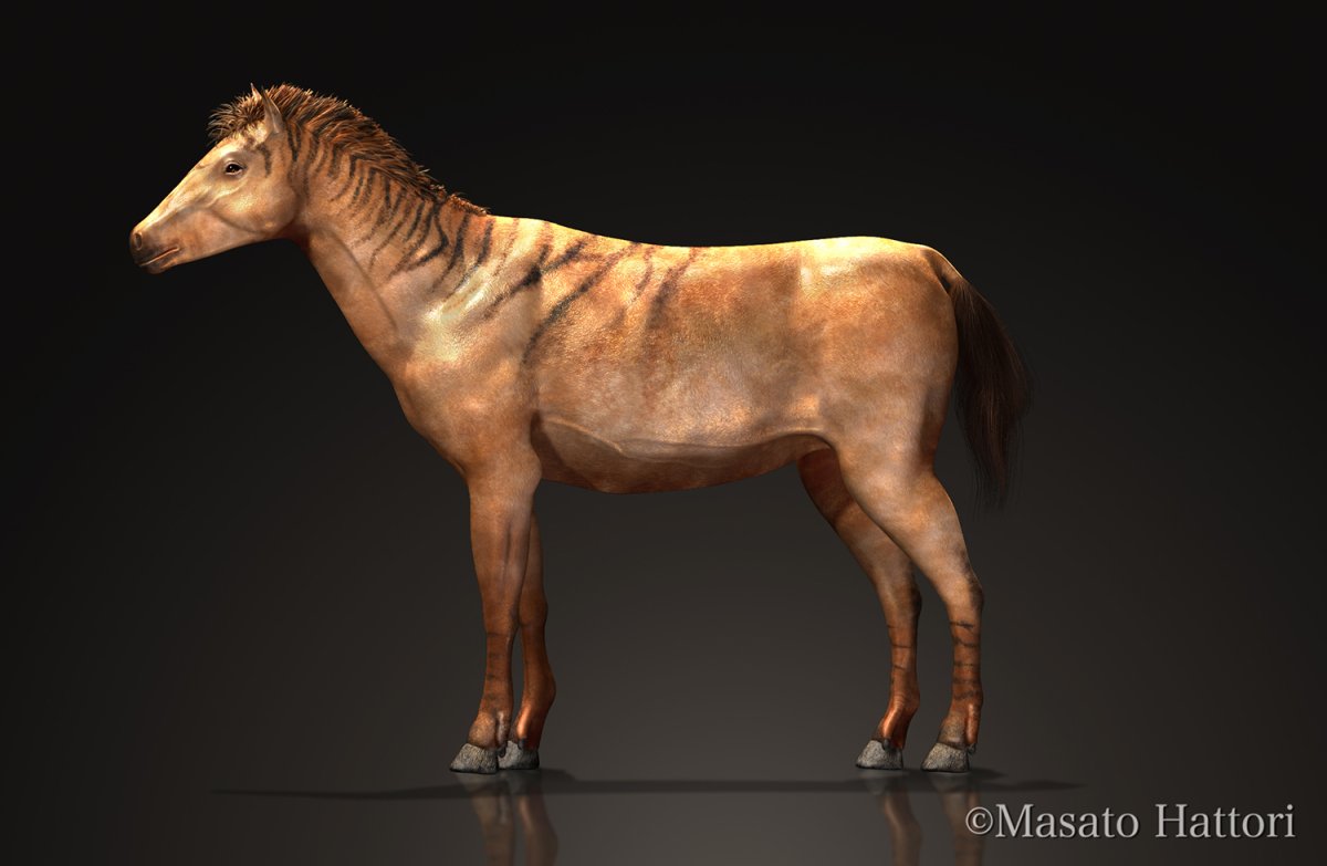 Плиогиппус предок лошади