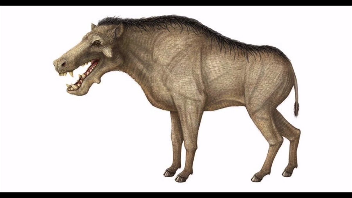 Динохиус (Деодон