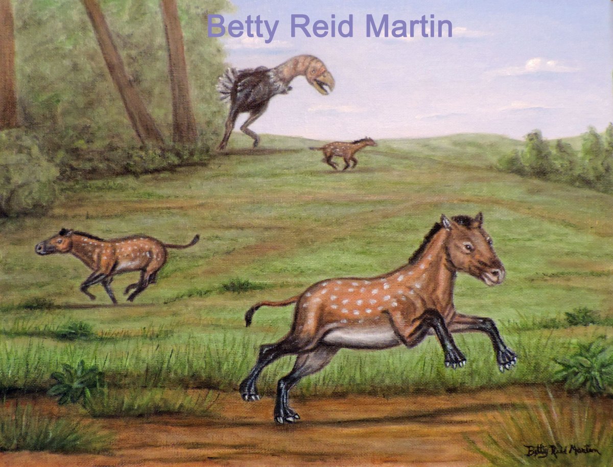 Фенакодус предок лошади