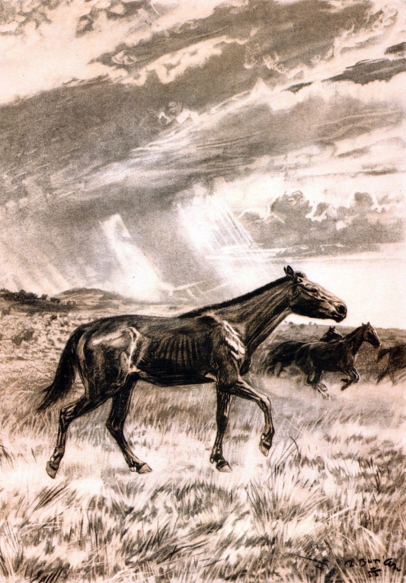 Картины Зденека Буриана